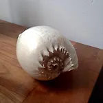 So Near To Downtown Apartment Triest